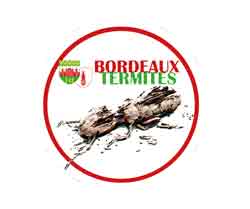 Bordeaux termites