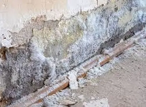 Murs humides sur Lagon a traiter par asséchement des murs en injection de barrièrre hydrophobe contre les remontées capillaires - BORDEAUX TERMITES à Langon, toulenne, sauternes, fargues, saint-macaire, caudrot, castets-en-dorthe, saint-maixant, verdelais, léognan, martillac, haux, targon, frontenac, cleyrac, cazaugitat, dieulivol, le puy, monségur, saint-martin-de-lerm, camiran, saint-sulpice-de-pommiers, gornac, baigneaux, coirac, capian, soulignac, escoussans, saint-pierre-de-bat, mourens, langoiran, podensac, beguey, cérons, loupiac, barsac, preignac, fargues, caudrot, barie, floudès, la réole, fontet, saint-vivien-de-monségur, fossès-et-baleyssac, Saint-michel-de-lapujade, mongauzy, fontret, savignac, auros, cazats, aillas, labescau, sigalens, cocumont, romestaing, masseilles, grignols, manrions, birac, sauviac, bazas, cudos, pompéjac, lignan-de-bazas, Aubiac, le nizan, roillan, noaillan, villandraut, préchac, saint-symphorien, balizac, ongne, louchats, guillos, landiras, cabanac-et-villagrains, saint-michel-de-rieufret, saint-morillon, saint-selve, la brède, saucats…