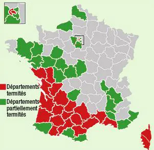 carte infestation termites en france: La Gironde est totalement infestée par les colonies de termites souterrains - Arrêté préfectoral TERMITES, Insectes à larves xylophages, Champignons lignivores: Mérule, Code de la construction lutte contre les parasites du bois. carte infestation capricorne france