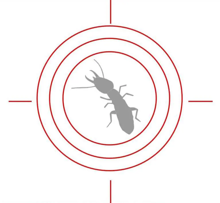 Traitement anti-termites sur bordeaux: Lutte et traitement contre les termites souterrains, les insectes xylophages destructeur de nos construction, le département de gironde est totalement infesté par les colonies de termites, les termites creusent des galeries pour passer de maison en maison pour manger la cellulose de bois contenue dans les charpente, un arrêté préfectoral Termite est en application. Sur les construction neuve doit etre appliqué le code de la construction.