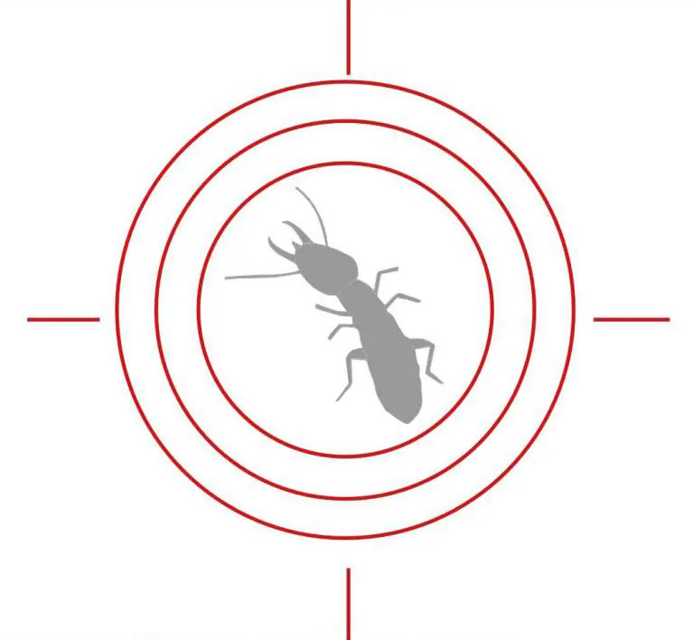 anti-termite arcachon