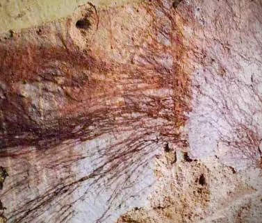 Coniophore des caves sur Lesparre-Médoc, un champignon lignivore comme la mérule - BORDEAUX TERMITES votre expert en traitement mérule sur la Gironde à Soulac-sur-Mer, Grayan-et-l-Hôpital, Saint-Vivien-de-Médoc, Valeyrac, Queyrac, Vendays-Montalivet, Ordonnac, Saint-Estèphe, Lesparre-Médoc, Naujac-sur-Mer, Cissac-Médoc, Pauillac, Hourtin, Saint-Laurent-Médoc, Carcans, Maubuisson, Brach, Castelnau-de-Médoc, Arsac, Lacanau, Le Moutchic, Le-Pian-Médoc, Saint-Médard-en-Jalles, Salaunes, Sainte-Hélène, Saumos, Le Temple…